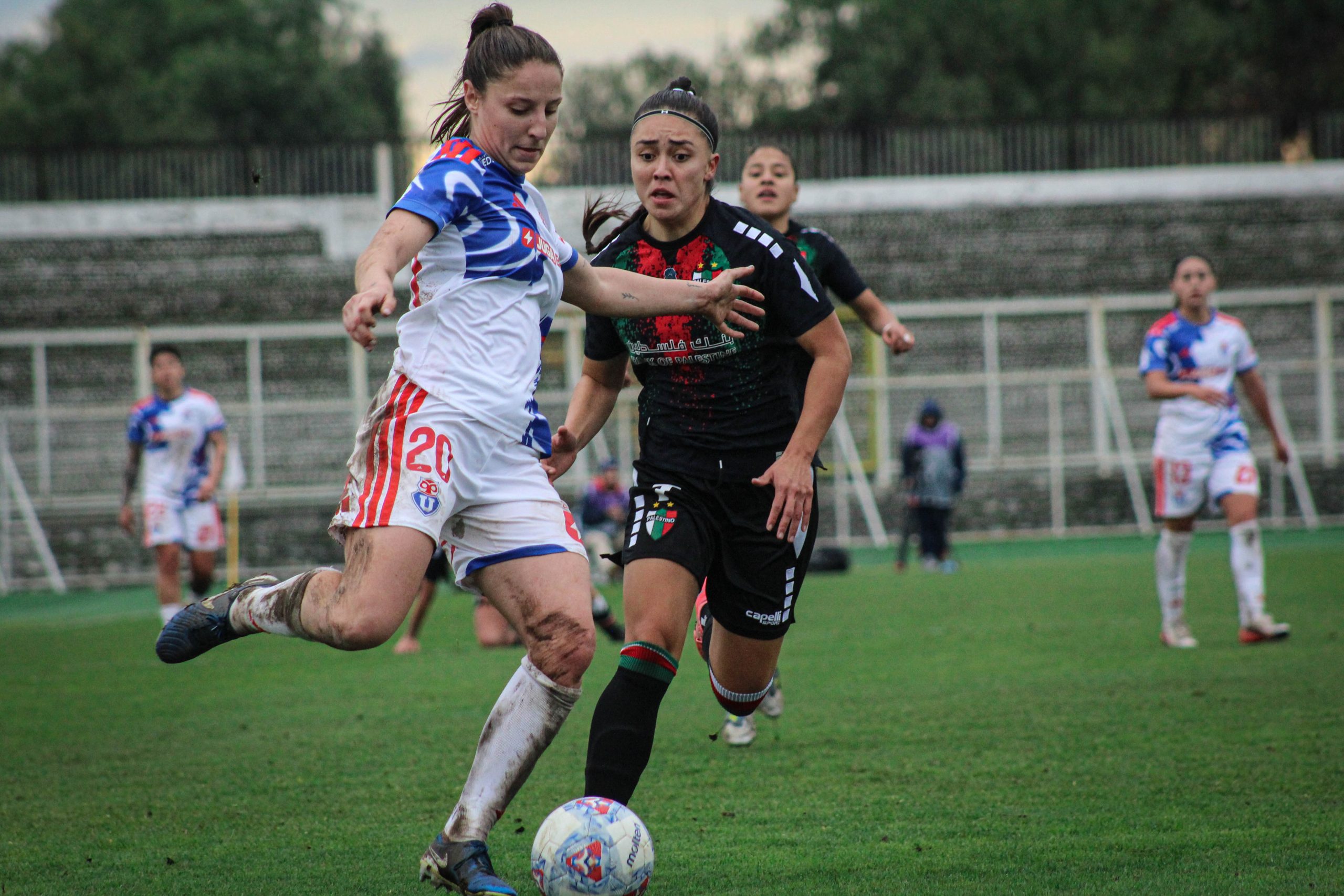 Comienzan los Playoffs del Campeonato Femenino 2026